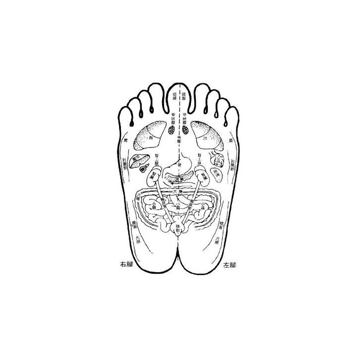 Detox piedi patch di eliminazione delle tossine durante il sonno 10pz di estratti naturali jr international - 2