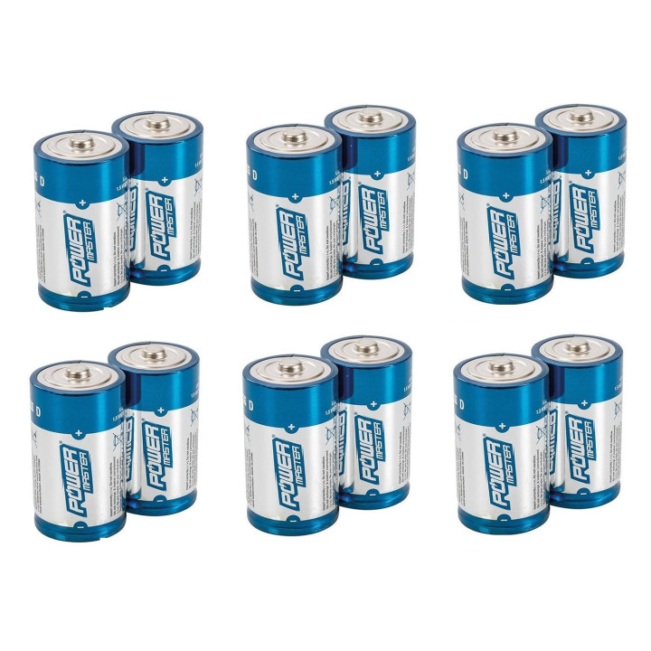 12 piles electrique 1.5v alcaline lr20 d r20 am1 13a e95 mn130 alimentation batterie