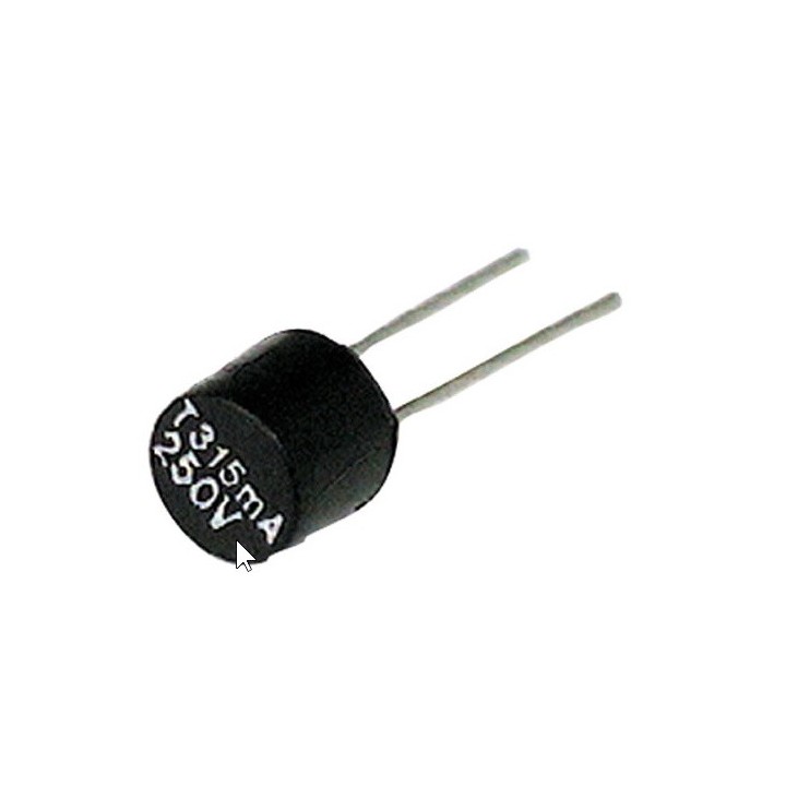MICRO FUSIBLE TR5 RAPIDE 500mA