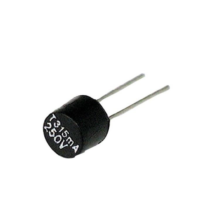 MICRO FUSIBLE TR5 RAPIDE 2A 250 volts