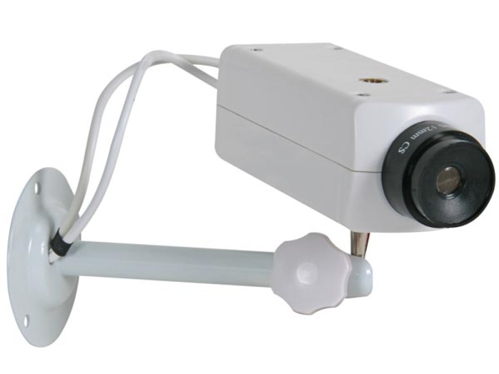 Cmara de seguridad falsa camdd1