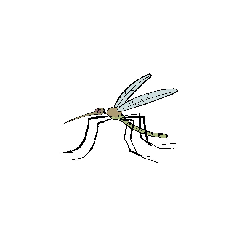 Ultrasónico Repelente de plagas Chinches Pulga Arañas mosquitos Ratones Roedor 