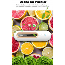 Luftreiniger, Ozongenerator, Desodorierer, Kühlschrank, Anti-Geruchserhaltung, Obst und Gemüse