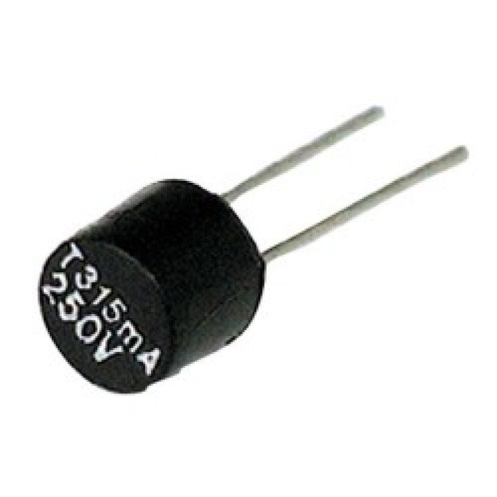 Micro fusibile 200ma veloce tr5 jr  international - 1