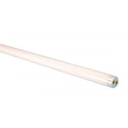 Tubo fluorescente 1.20m