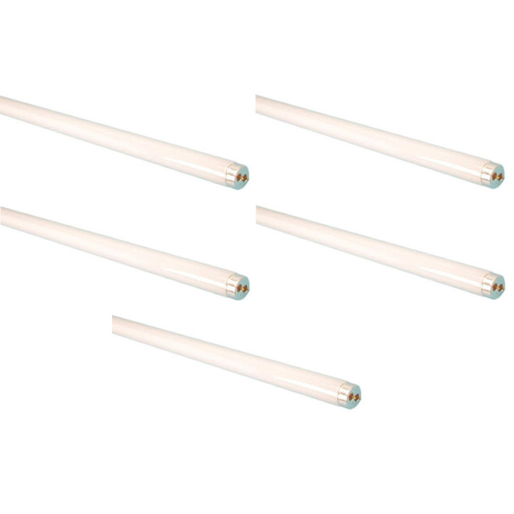 Leuchtstofflampe 1.20m leuchtstofflampen leuchtstofflampe leuchtstofflampen leuchtstofflampe leuchtstofflampen
