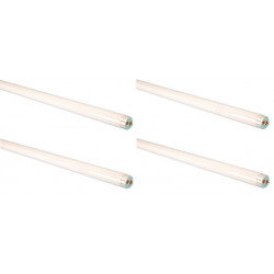 Leuchtstofflampe 1.20m leuchtstofflampen leuchtstofflampe leuchtstofflampen leuchtstofflampe leuchtstofflampen