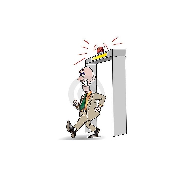 10 Portico metal detector 6 zone impermeabili per circo mostra sicurezza conteggio aeroporto esterno xp metal detectors - 6