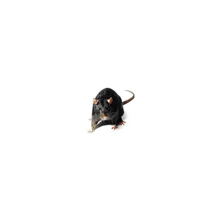 Repelente ultrasónico de bichos ratas raton roedores perel - 7