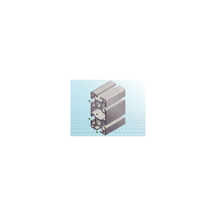Aluminum profile 6 rain. 40x80mm e-type - 1m cen - 1
