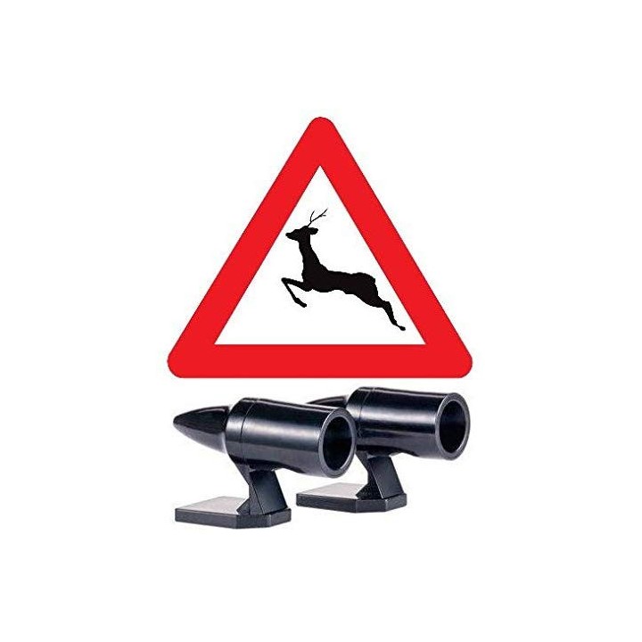 jpg