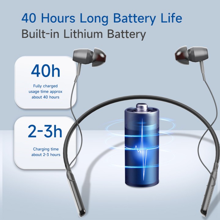 Amplificateur de son auditif réglable prothèse auditive rechargeable 2 oreillettes surdité