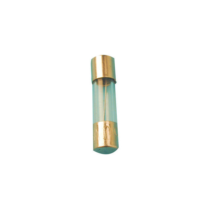 Delay fuses glass 5 x 20 mm / 10a. box of 10 fuses. ref: alfpt10a cen - 2