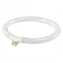 Lampada lampada 12w circline tl t4 circolare lamp3bulb mag lr112wt 240v 100 220v illuminazione luce jr  international - 1