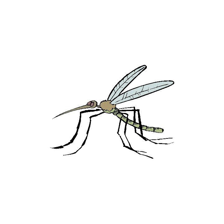 Ultrasuoni del mouse repeller scarafaggi ratti blate mosca parassita repellente per zanzare respinge formica jr international - 