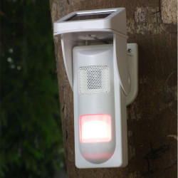 Solarenergie Außenblitz Sirene Pet Immunität Solarenergie Sensor Doppelfunktion