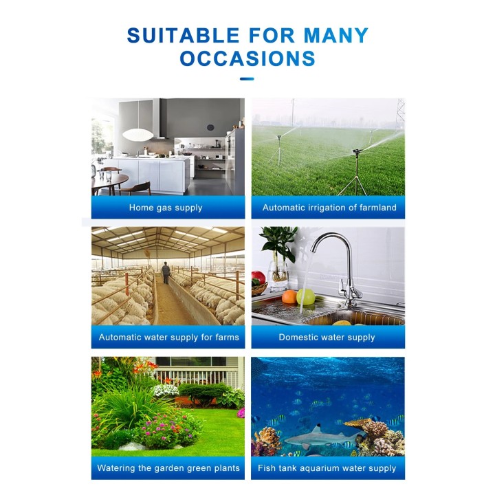 WiFi Valvola dell'acqua Timer spegnimento gas Controller intelligente da giardino Alexa Assistente Google SmartLife