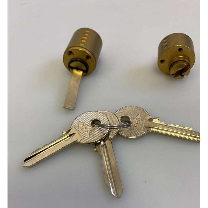 Canon cylindre avec 3 cles pour serrure electrique 5001.1z