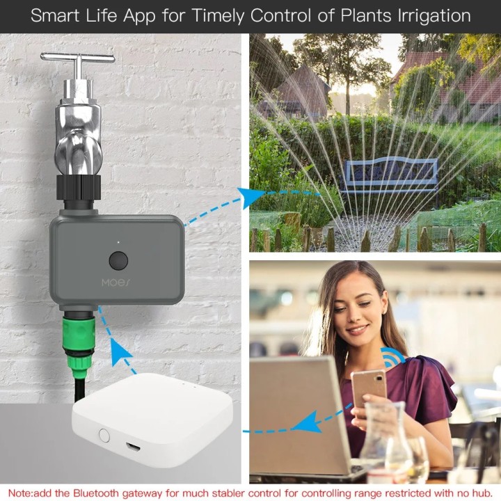 Programmateur eau WiFi Bluetooth arrêt minuterie jardin contrôleur Alexa Google Assistant SmartLife