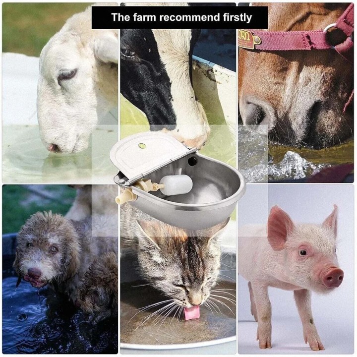 Robinet Vanne Bille Flottante 1/2 Contrôle Niveau d'Eau Étanche a flotteur Economie eau automatique