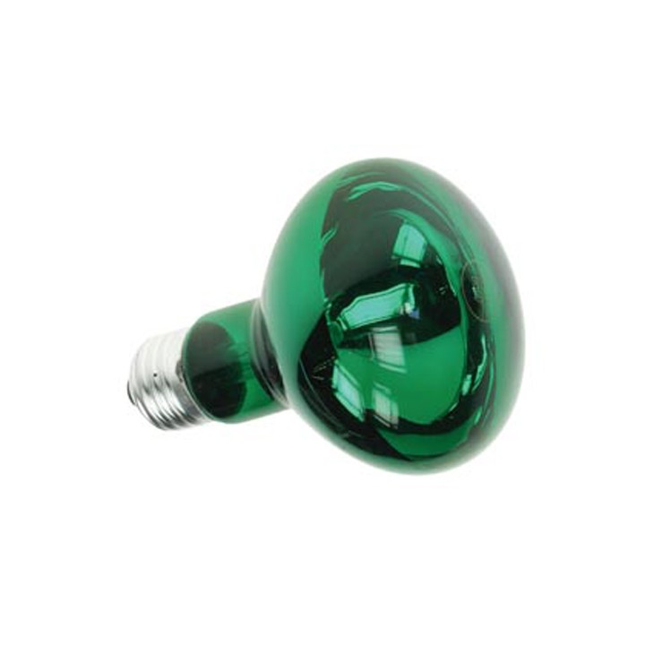 Spot colore verde discoteca 40w r63 220v lampadina lampada del proiettore lamp60g2 illuminazione velleman - 1