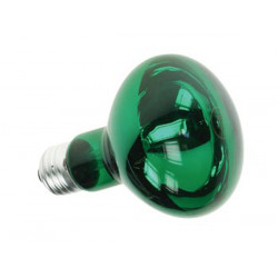 Coloured spot green 40w R63 velleman - 1