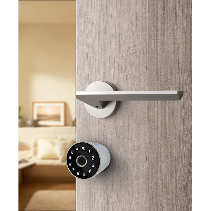 Apartamento casero elegante del código ip66 del teclado del bluetooth del wifi del tuya de la puerta del cilindro 17 x de 32,5mm