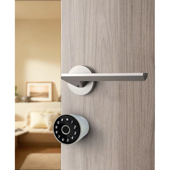 Cylinder 17 x 32.5mm smart door wifi tuya blutooth code keypad ip66 home apartment