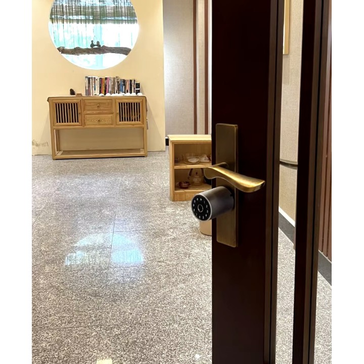Cylinder 17 x 32.5mm smart door wifi tuya blutooth code keypad ip66 home apartment