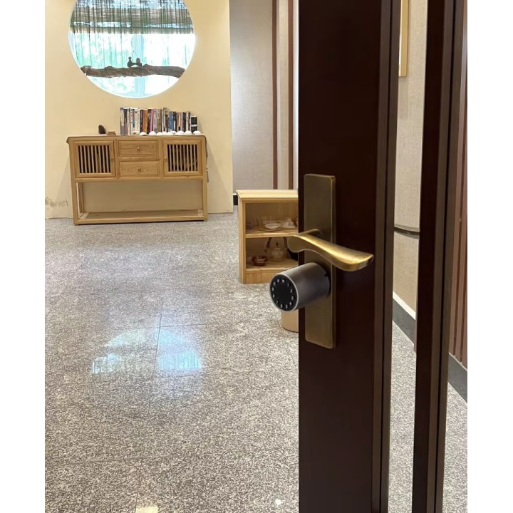 Cylinder 17 x 32.5mm smart door wifi tuya blutooth code keypad ip66 home apartment