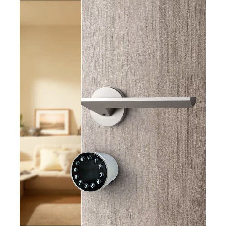 Zylinder 17 x 32,5 mm intelligente Tür, WLAN, Tuya, Blutooth, Tastaturcode, IP66, Zuhause, Wohnung