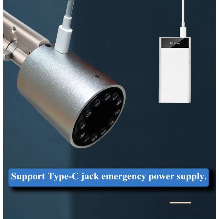 Cylindre serrure de porte intelligente wifi tuya bluetooth clavier code ip66 maison villa magasin