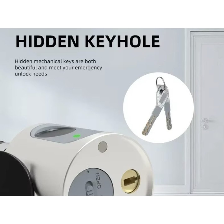 Smart Door Lock Gray Cylinder Tuya Wifi Bluetooth Fingerprint 2 Tags 13.56mhz