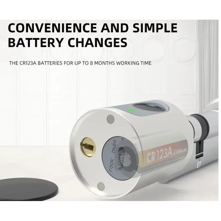 Intelligentes Türschloss, grauer Zylinder, Tuya, WLAN, Bluetooth, Fingerabdruck, 2 Tags, 13,56 MHz