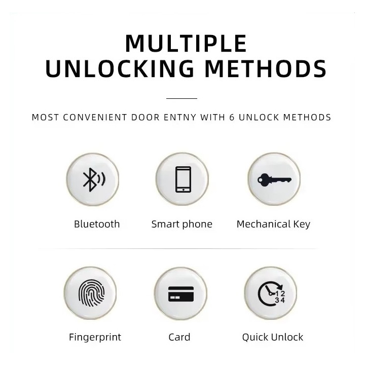 Serrure de porte intelligente gris cylindre tuya wifi bluetooth empreinte digitale 2 tags 13.56mhz