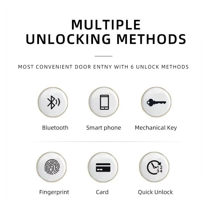 Intelligentes Türschloss, grauer Zylinder, Tuya, WLAN, Bluetooth, Fingerabdruck, 2 Tags, 13,56 MHz