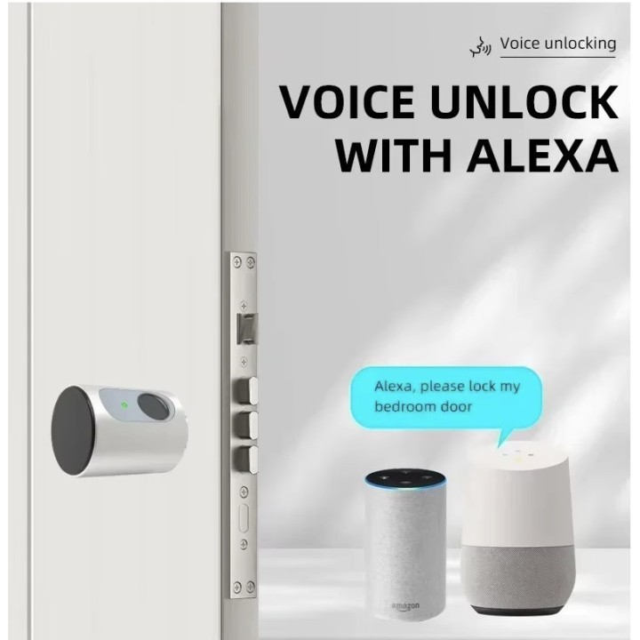Intelligentes Türschloss, grauer Zylinder, Tuya, WLAN, Bluetooth, Fingerabdruck, 2 Tags, 13,56 MHz
