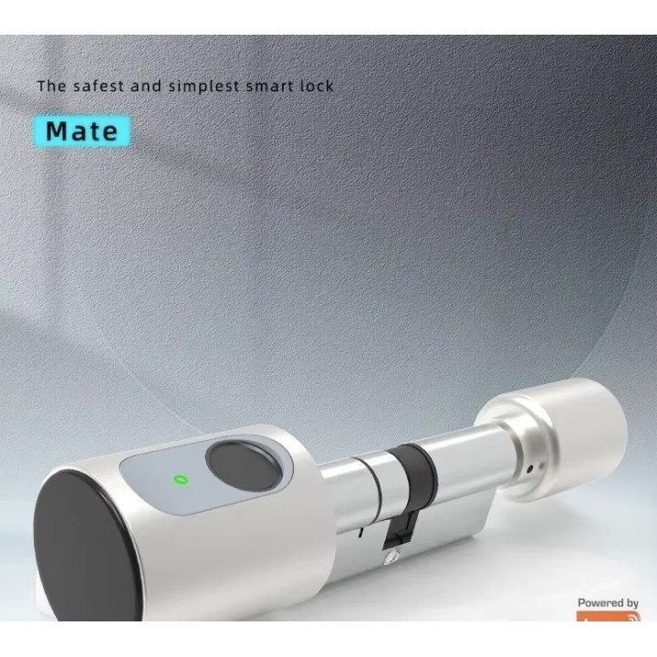 Serrure de porte intelligente gris cylindre tuya wifi bluetooth empreinte digitale 2 tags 13.56mhz