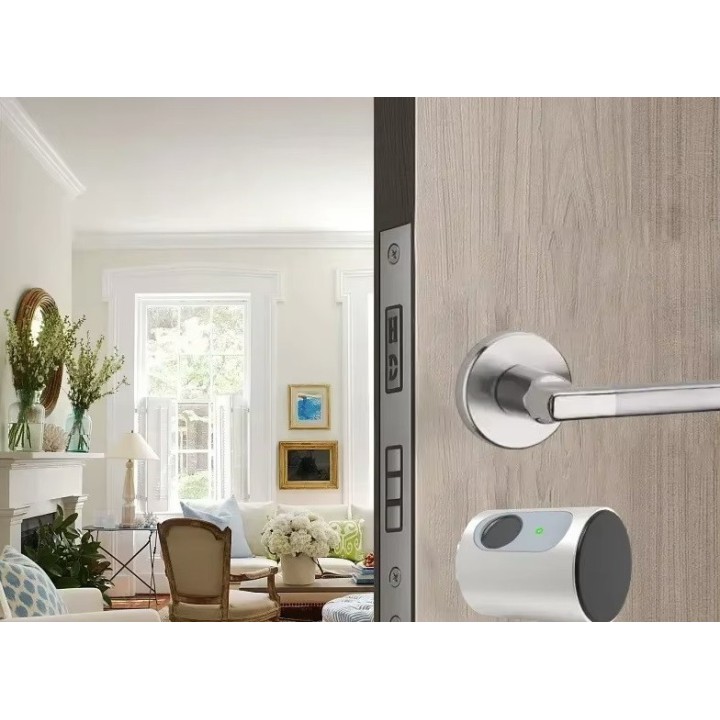 Intelligentes Türschloss, grauer Zylinder, Tuya, WLAN, Bluetooth, Fingerabdruck, 2 Tags, 13,56 MHz