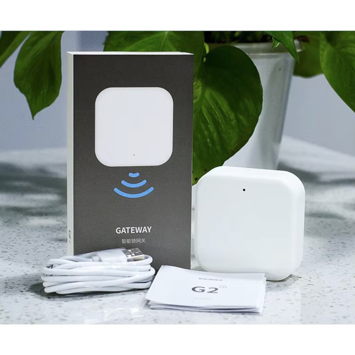 Gateway wireless 2 Tuya Bridge multimodale cablato Bluetooth Mesh Controllo remoto Smart Life Google Home