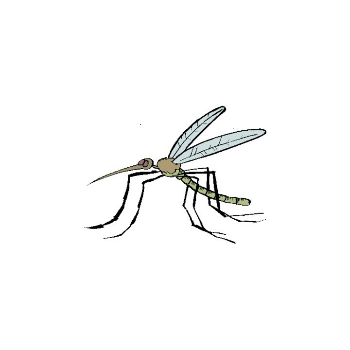 Ultrasonidos de cucarachas ratas ratones repelente de plagas de mosquitos blate mosca repelente repele hormigas lucifer - 1