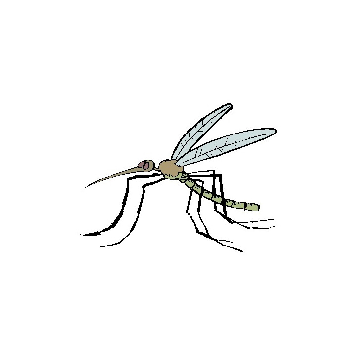 2 ultraschall-maus repeller cockroach ratten blate mosquito fly schädlingsabwehrmittel abstößt ant weitech - 1