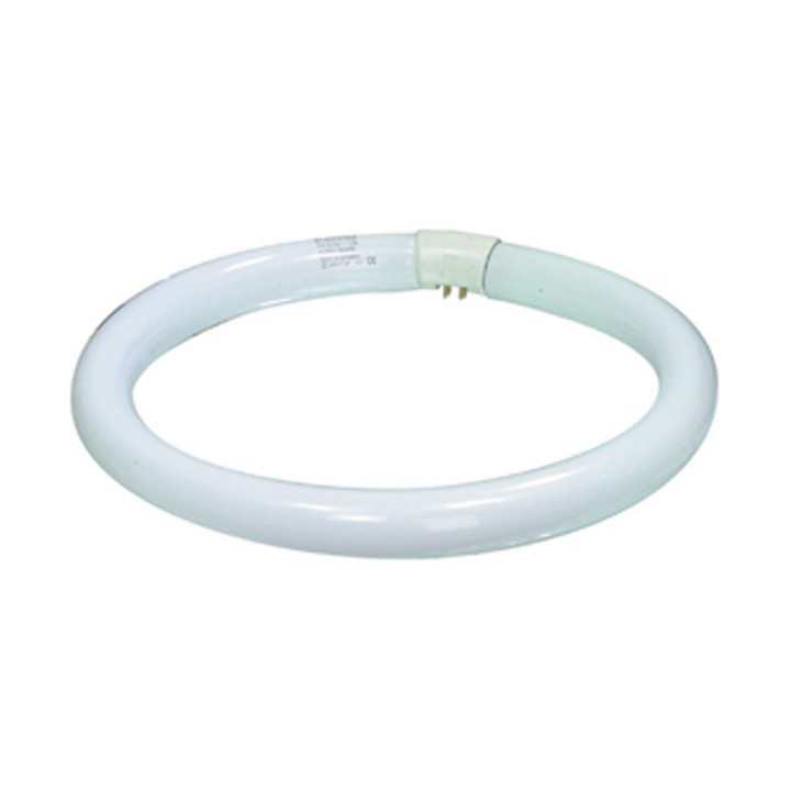 G10q circline fluorescent bulb 32w lamp light tl e 32w/33 circular tube syl 00484 konig - 1