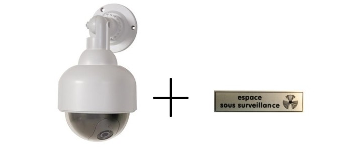 Dummy telecamera dome per videosorveglianza nascosta camd8 led rosso deterrente sicurezza velleman - 1