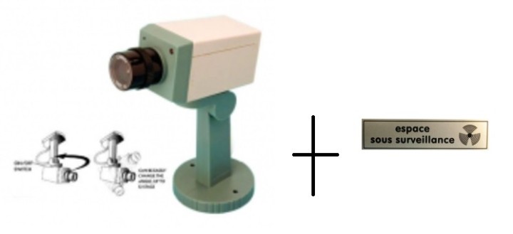 Telecamera dissuasiva + ets finta motorizzata + led lampeggiante + supporto jr international - 1