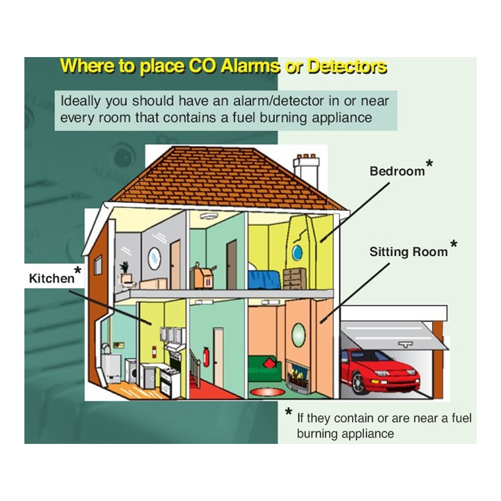 Detector carbon monoxide detector with relay, 24vdc odorless gas alarm  detector carbon monoxide odorless gas detection detector