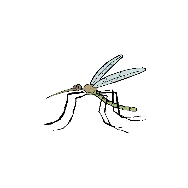 2 repousse moustique tigre zika repulsif anti mouche papillon ultrason  chasse insecte repousseur