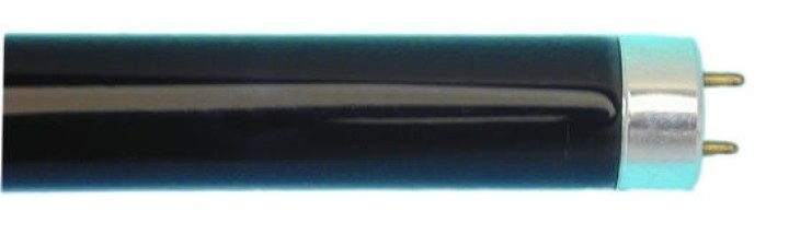 Black light tube 36w + Reglette 1.20m jr international - 1
