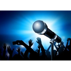 Impostare vdsprom4 karaoke microfono + 2  promix02 missaggio del suono suono micro partito microfono musica velleman - 5
