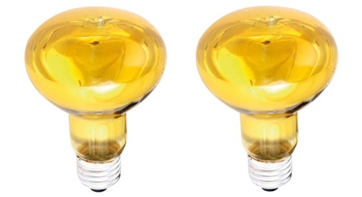 2 X Farbige discolampe gelb 60w r80 jr international - 1